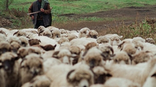 Doi olandezi au renuntat la viata lor pentru a deveni fermieri in Romania!