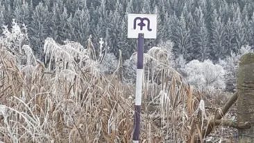 O tânără din Târgu Mureș a rămas uimită atunci când a văzut acest semn de circulație. Ce semnifică el, de fapt