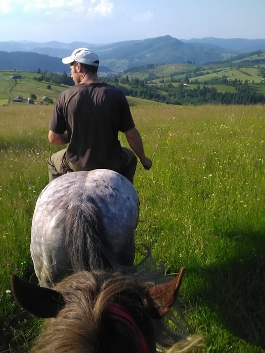 Bărbat de 30 de ani, mort într-o pădure, la Vama, strivit de o creangă de copac