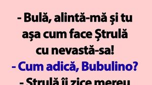 BANC | "Bulă, alintă-mă și tu așa cum face Ștrulă cu nevastă-sa!"