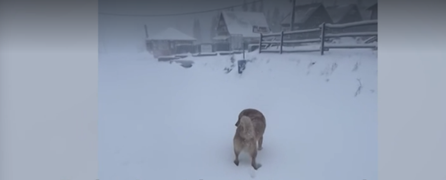 Turiștii au fost luați prin suprindere de prima ninsoare /Foto: Captură video Pro TV