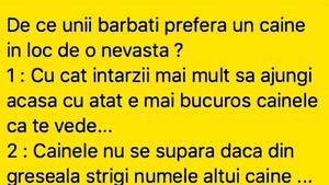 BANC | De ce unii bărbați preferă un câine în loc de nevastă