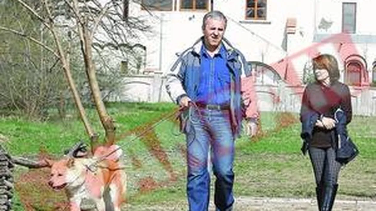 Catelul Elenei este pe moarte