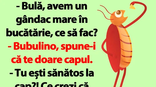 Bancul dimineții | Bulă, avem un gândac mare în bucătărie, ce să fac?