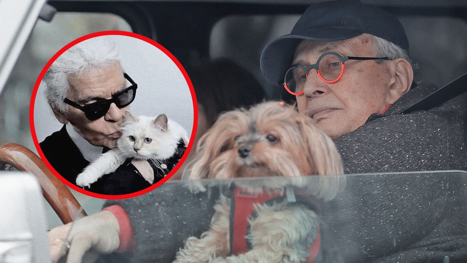 "Tatăl" Braiconf, cu lățosul în poale! După tentativa de răpire, "Lagerfeld de România" a înăsprit măsurile de securitate
