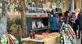 Galerie foto - poza 3