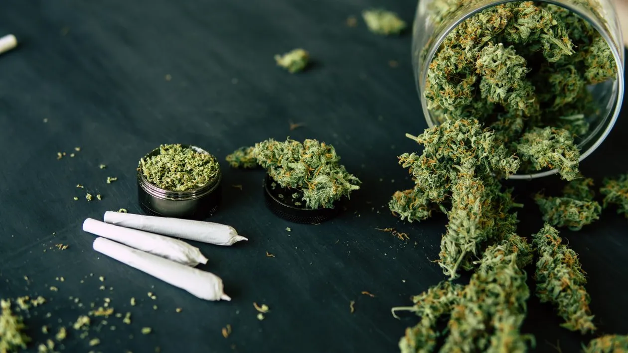 Dealerul de droguri din Iași care le-a tras clapa oamenilor legii: ”Ține-mi și mie cannabisul ăsta, că vine Poliția!”