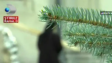 VIDEO Inainte sa ramana gravida, maica stareta mergea la mare! Altele ca ea se duceau si la discoteca