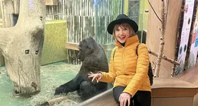 Galerie foto - poza 2