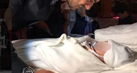 Galerie foto - poza 4