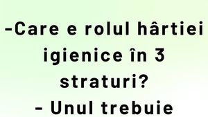BANCUL ZILEI | Care e rolul hârtiei igienice cu 3 straturi, de fapt