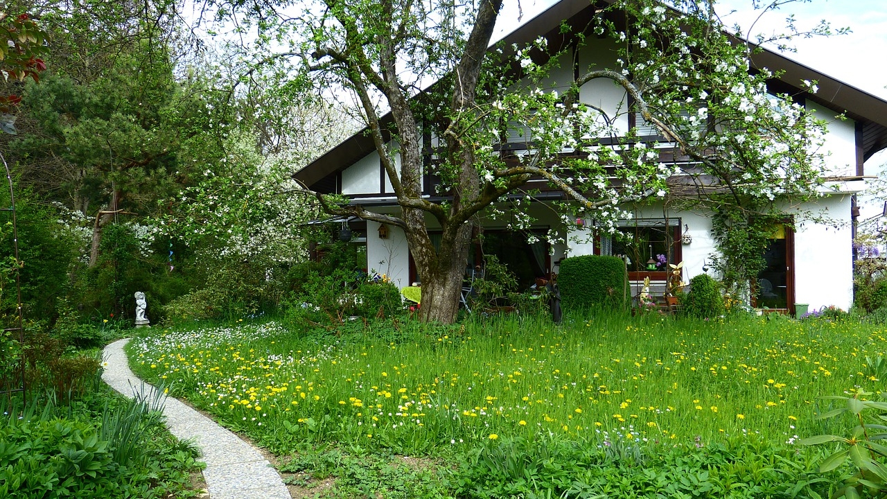 Locul din România unde poți să primești gratuit casă. Ce condiții trebuie să îndeplinești