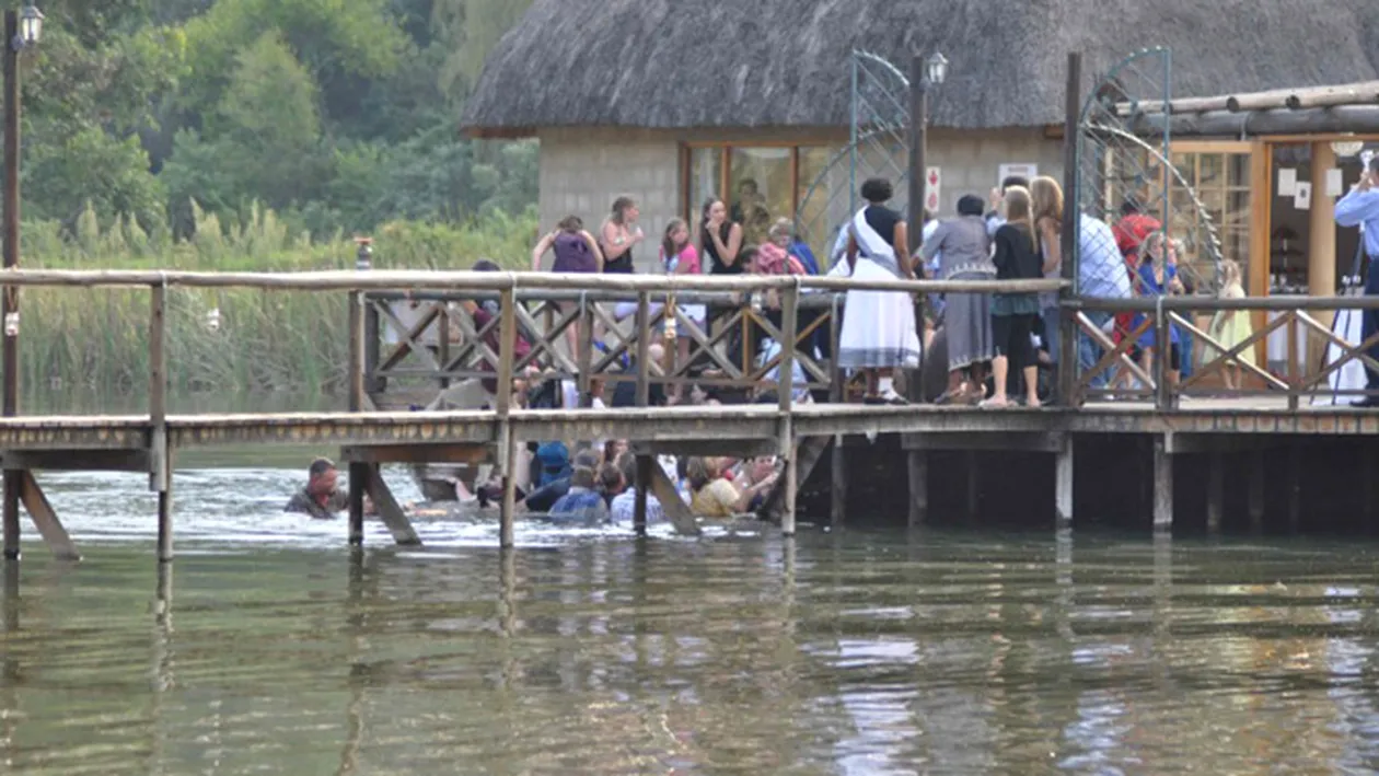 FOTO 80 de nuntasi au ajuns in apa