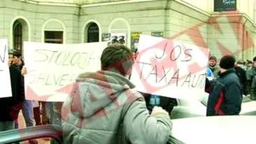 Taxa auto bate Constitutia Romaniei