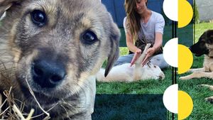 Cum aplică o tânără din Craiova terapia Reiki pe animalele de companie. "Când un câine îți linge mâna, el..."