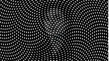 Iluzie optică virală | Identificați marea vedetă ascunsă în această imagine!