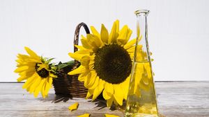 De câte ori poți refolosi uleiul de floarea-soarelui din tigaie? Când trebuie schimbat imediat