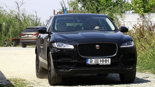 Reacţii în premieră. E suspect că nu-şi asumă relaţia! De ce a sechestrat-o în casă Smiley pe Gina Pistol