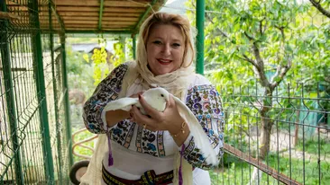 Diana Șoșoacă rupe tăcerea la Dan Diaconescu în Direct: „Administrația Trump ia în considerare să nu recunoască alegerile din România!”