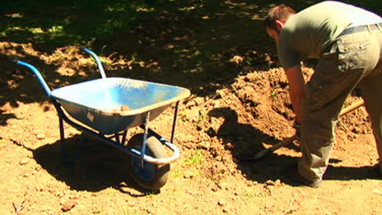A vrut sa isi faca piscina in curtea din spatele casei. Ce a descoperit IN PAMANT l-a marcat pe viata