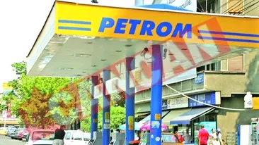 Nastase incearca blocarea raportului Petrom