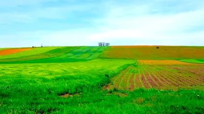 Subvenții APIA 2026. Câți bani primesc românii care lasă terenul pârloagă