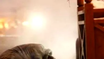 Gerul face victime: 34 de persoane au murit din cauza vremii nefavorabile!