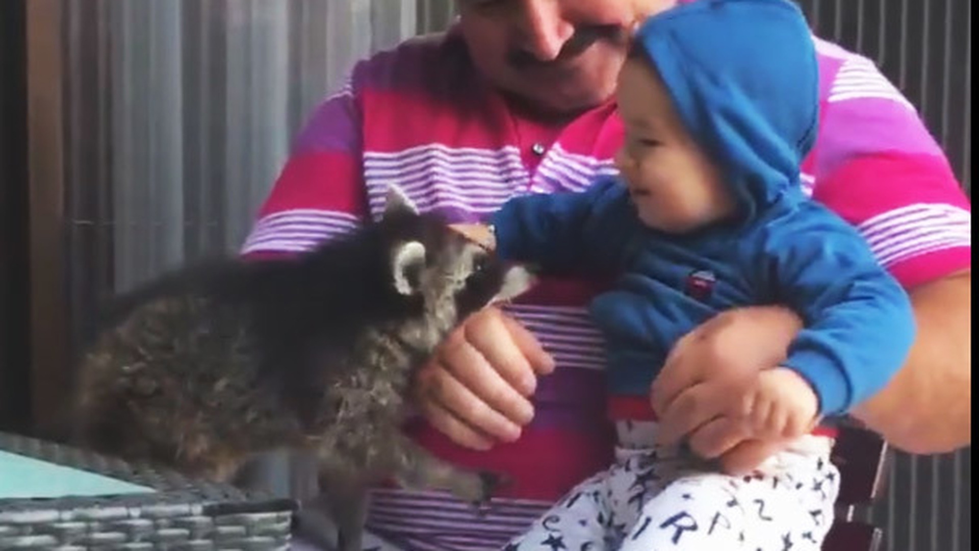 Imagini incredibile de acasă de la Nuţu Cămătaru. În braţe cu Cezar, Froni şi Coco!
