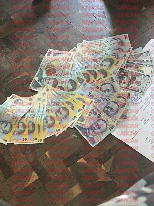 Tinerii aveau sume imense de bani la discreție