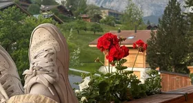 Galerie foto - poza 3