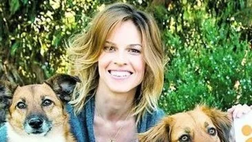 Starul din Million Dollar Baby a vizitat adapostul Speranta. Hilary Swank sare in ajutorul maidanezilor din Bucuresti