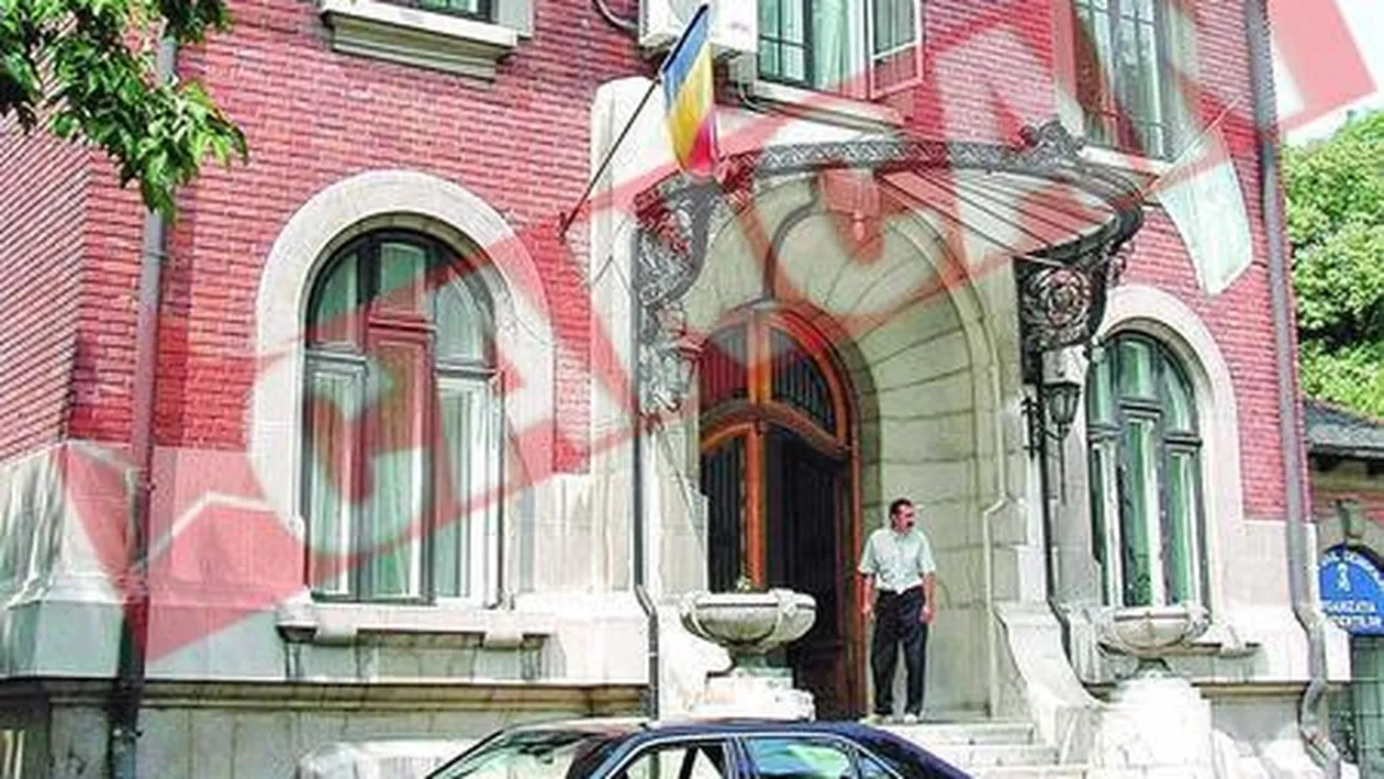 Fosta blonda de la Cotroceni a penetrat sediul central al PD