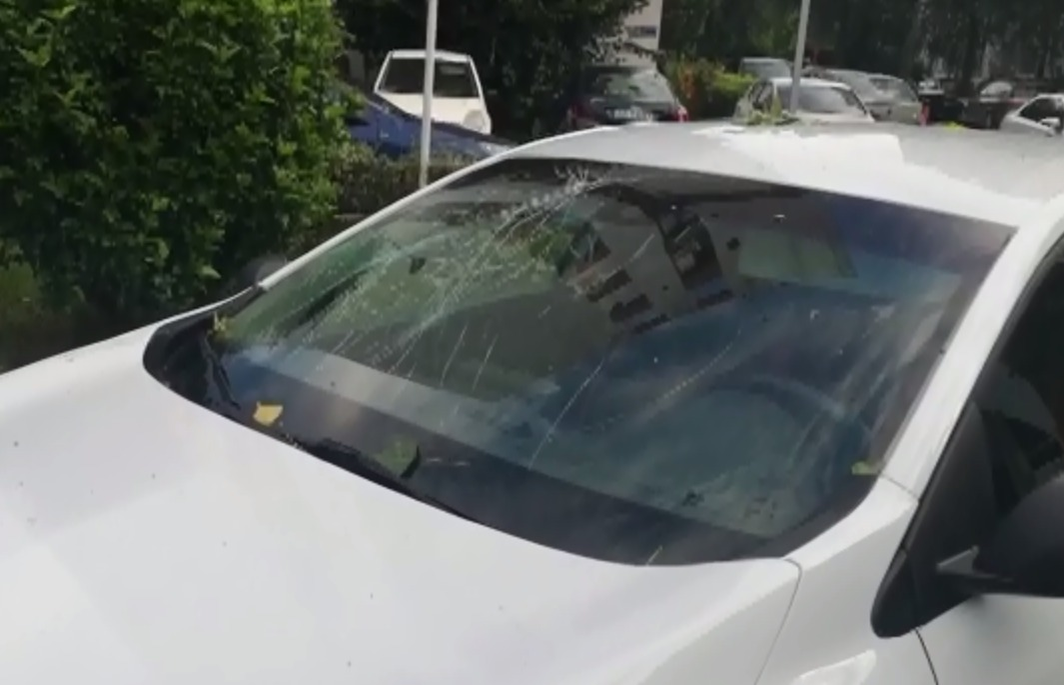 Trei dintr-o lovitură! Un copac imens s-a prăbuşit în această dimineaţă într-o parcare din Argeş peste trei maşini staţionate în zonă. VIDEO