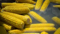 Ce conține, de fapt, porumbul fiert! O bucată a ajuns să coste 6 lei pe litoralul românesc