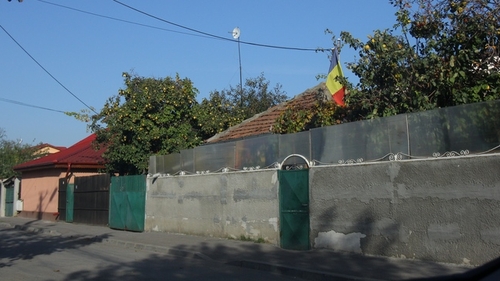 S-a intamplat ieri in Bucuresti! Povestea pustiului atacat de pittbul: poftea la gutui, dar s-a ales cu urechea sfasiata!