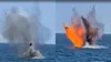 Două drone tip Gerbera, distruse de Armata Română! Imagini video cu momentul detonării în zona Neptun Deep