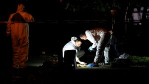 Descoperire macabră la Giurgiu! Femeie carbonizată, găsită într-o valiză în șanț!