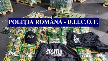 Record! Droguri în valoare de 60.000.000 de euro confiscate de Poliția Română, într-o amplă operațiune Antidrog