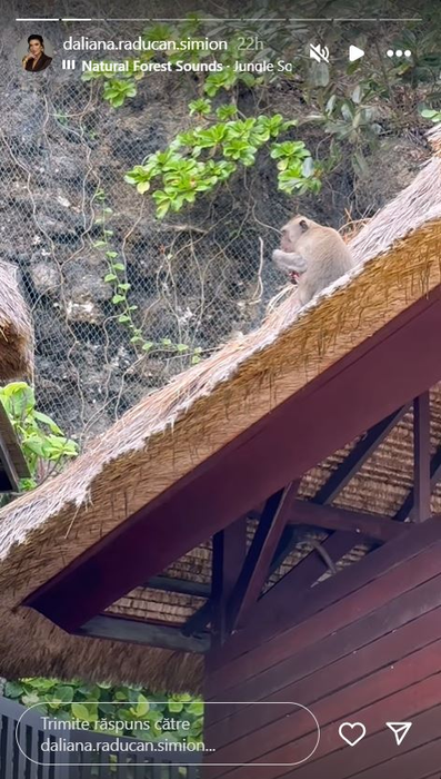 Răzvan Simion şi Daliana Răducan au plecat în luna de miere. Imagini cu destinaţia ireală aleasă de cei doi însurăţei