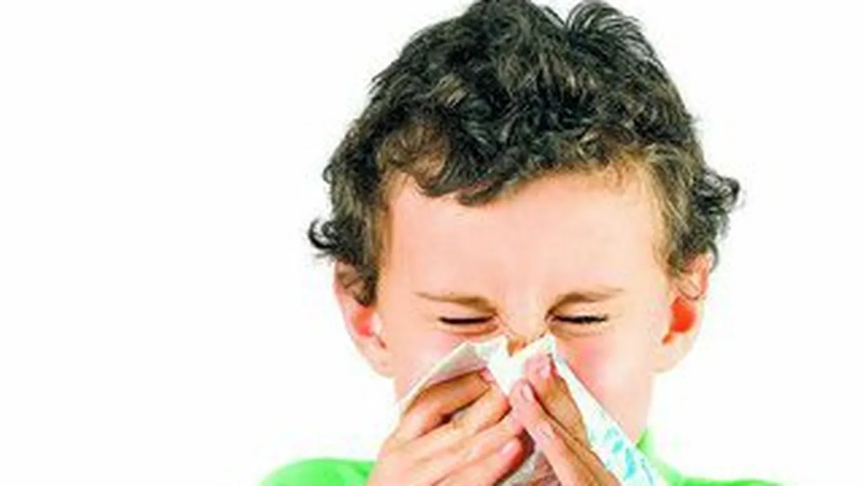 Cimbrul, leacul miraculos si natural!