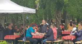 Galerie foto - poza 2