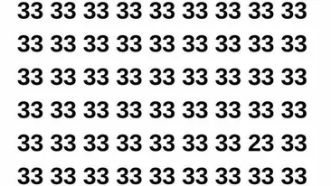 Test de perspicacitate | Găsiți numărul 23 ascuns printre 33 în cel mult 7 secunde!