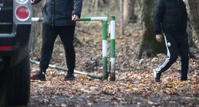 Galerie foto - poza 2