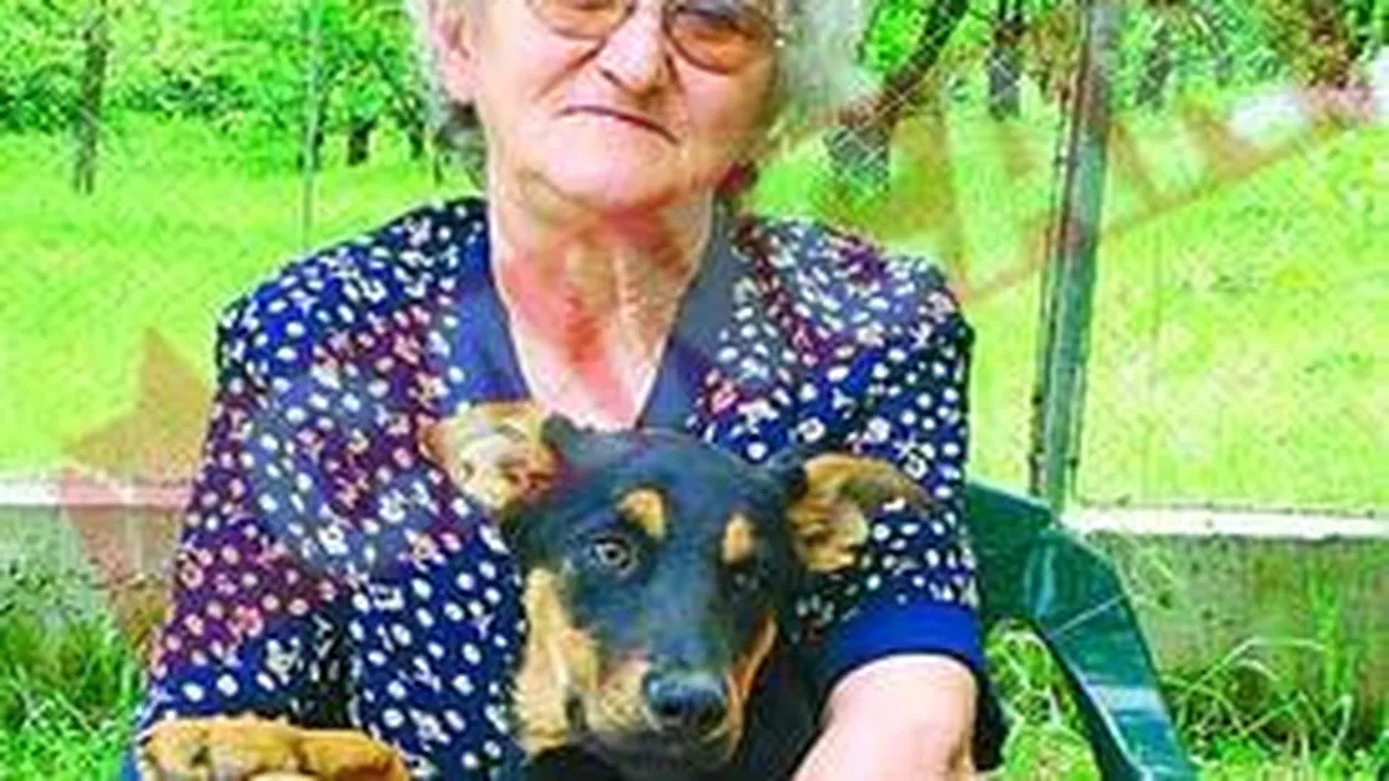 Buzdugan, pacalit de propria mama