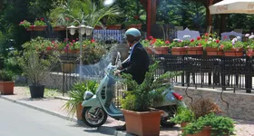 Galerie foto - poza 2