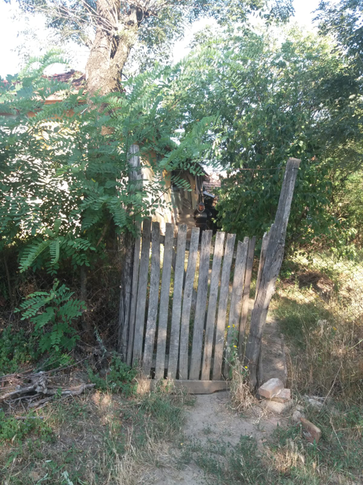 Bucicani, un loc rupt de lume, de care nu a auzit nici COVID-ul