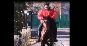 Galerie foto - poza 2