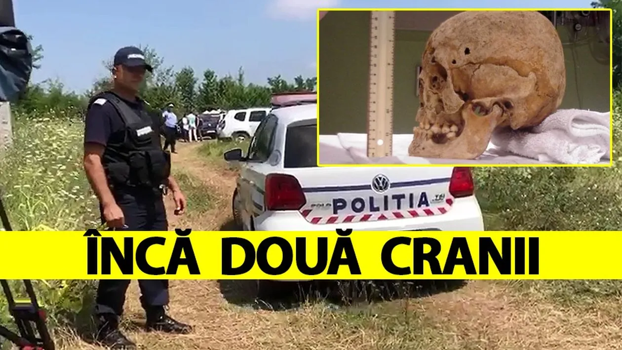 Lovitură de teatru în cazul Caracal: Două cranii, descoperite în Odaia lui Soreață
