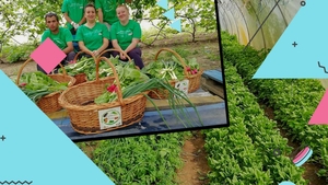Fabrica de agricultori