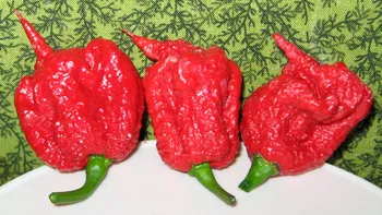 „Da’ iute să fie!” Românii și ardeiul lor curajos. Dar știi care este, de fapt, cel mai iute ardei din lume?